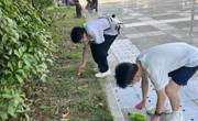 女优视频
北校区61期团校实践活动